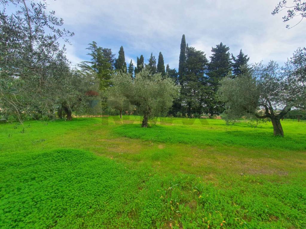 Terreno a Caltagirone in Via Cappuccini Vecchi, 1 - Foto 2