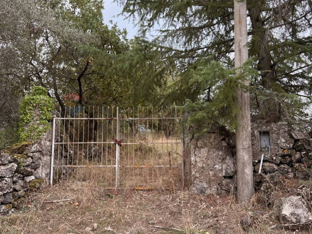 Terreno a Castiglione di sicilia - Foto 2