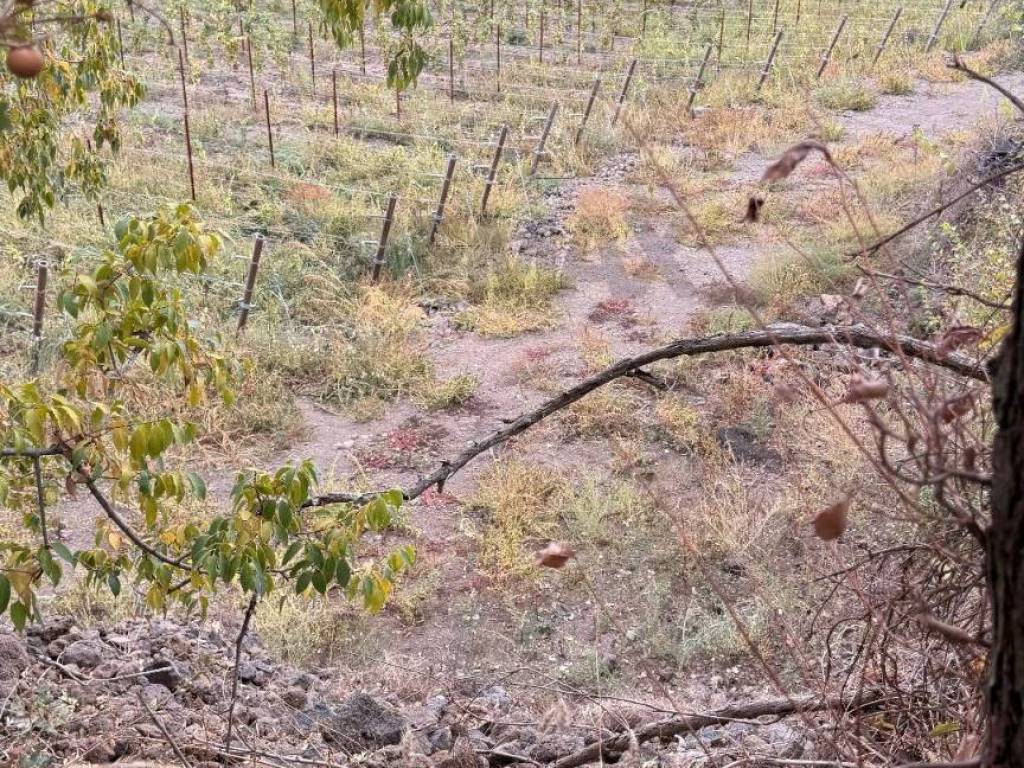 Terreno a Castiglione di sicilia - Foto 3