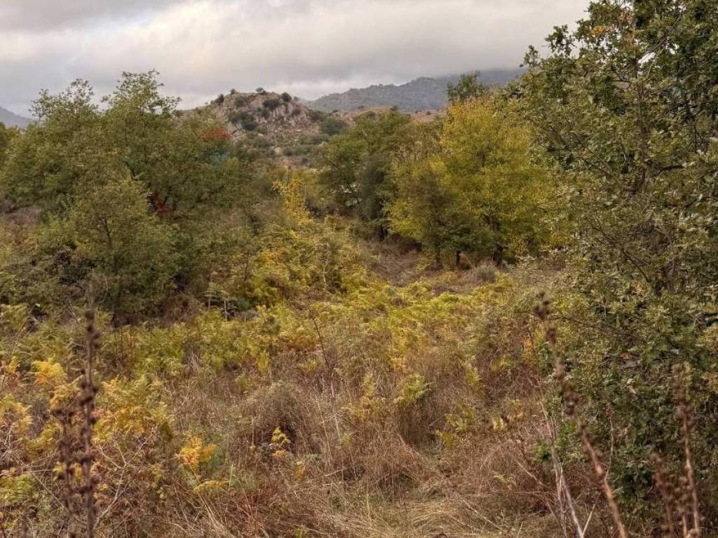 Terreno a Castiglione di sicilia - Foto 5