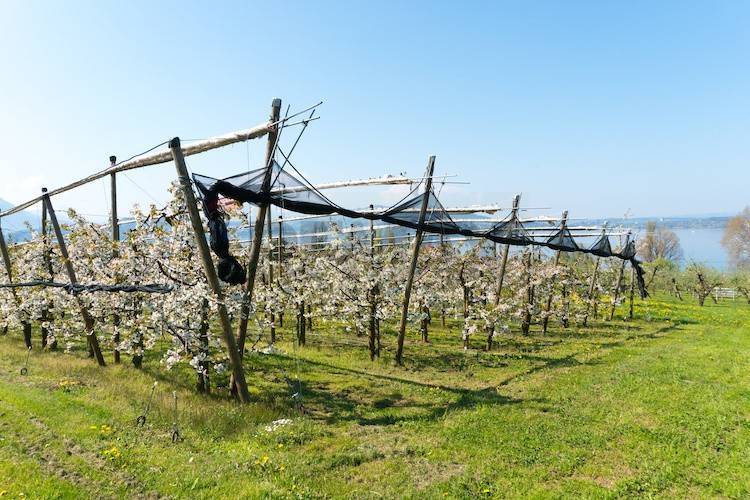 Immobile a Lugo - Foto 2