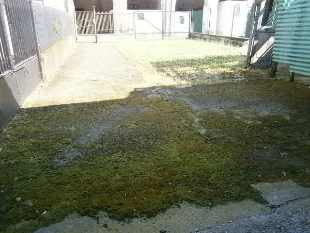 Rustico / casale a Crespiatica in Via Diaz - Foto 3