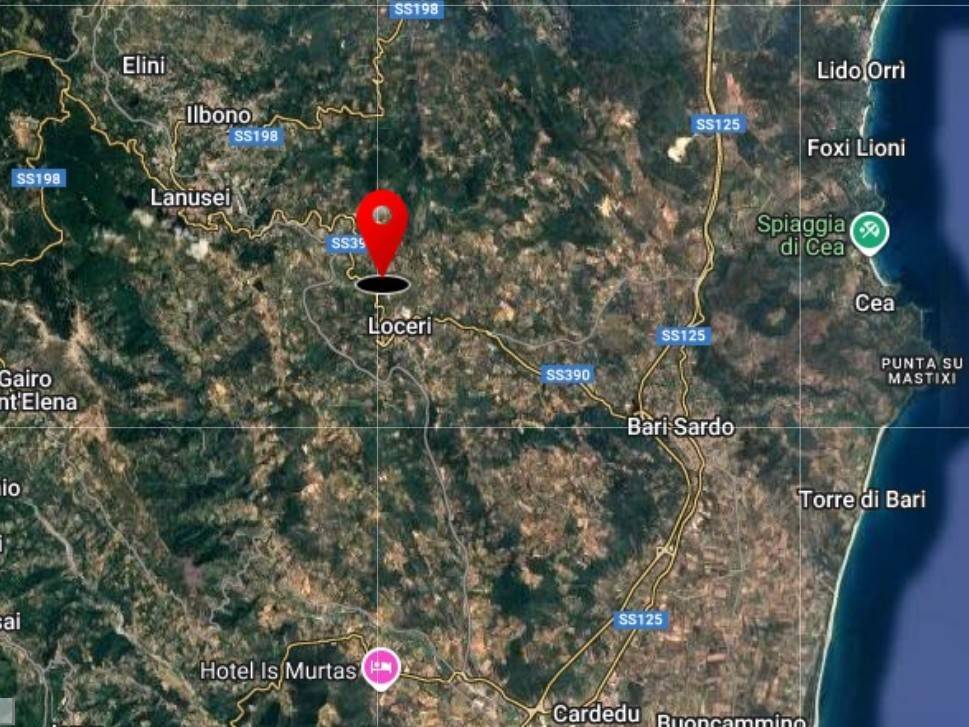 Terreno a Loceri - Foto 4