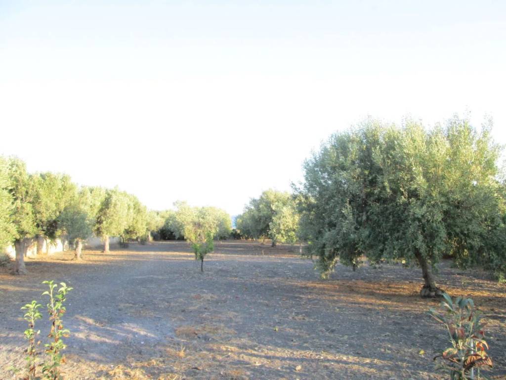 Villa a Licata in Contrada Canticaglione - Foto 4
