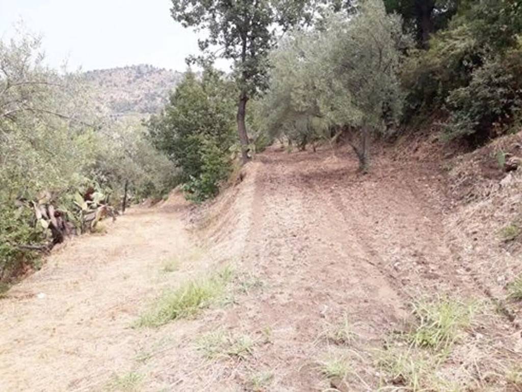 Terreno a Librizzi in Colla S.N.C. - Foto 2