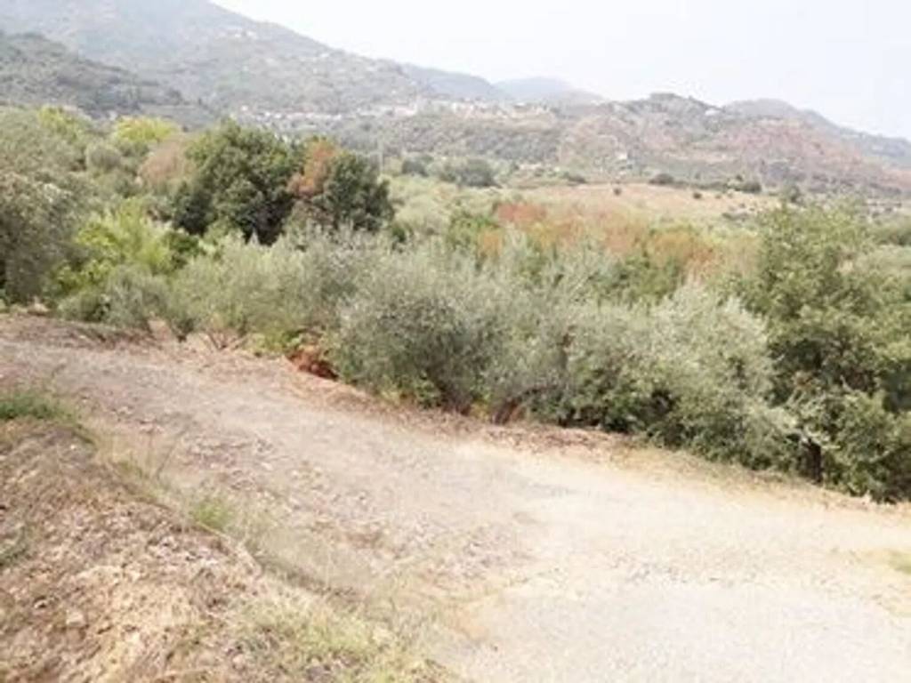 Terreno a Librizzi in Colla S.N.C. - Foto 3