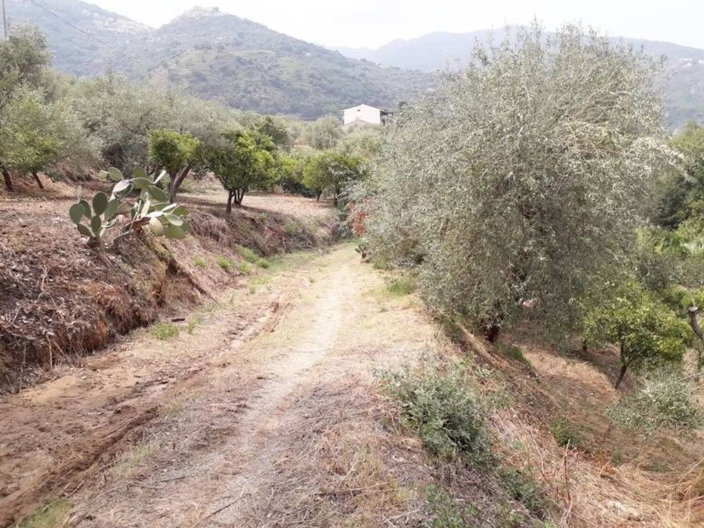 Terreno a Librizzi in Colla S.N.C. - Foto 4