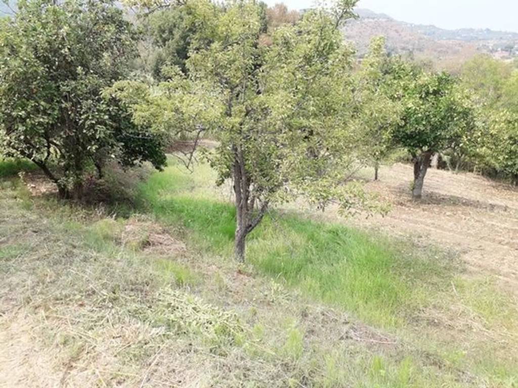 Terreno a Librizzi in Colla S.N.C. - Foto 5
