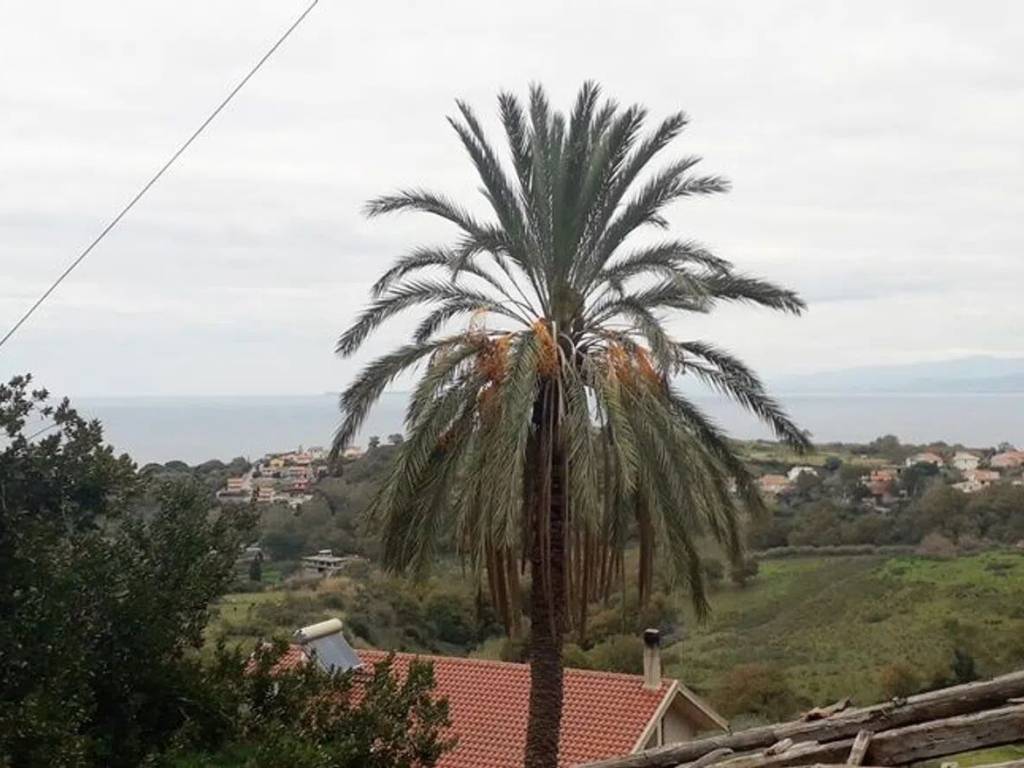 Villa a Gioiosa marea in Piana No Number - Foto 3