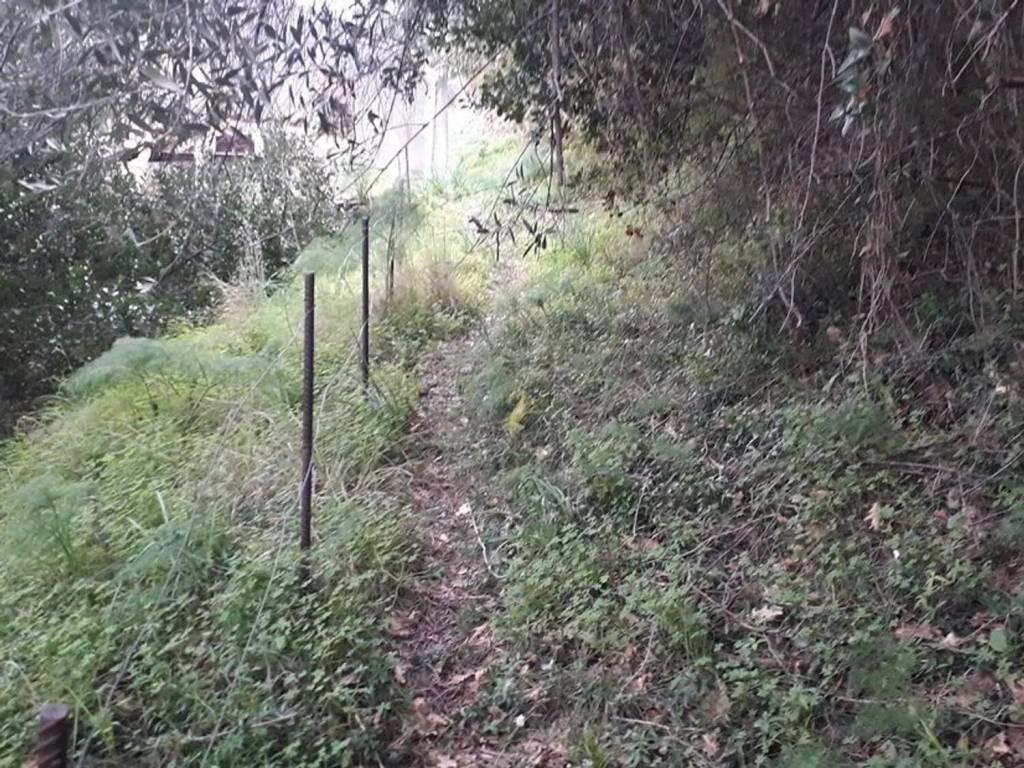 Villa a Gioiosa marea in Piana No Number - Foto 5