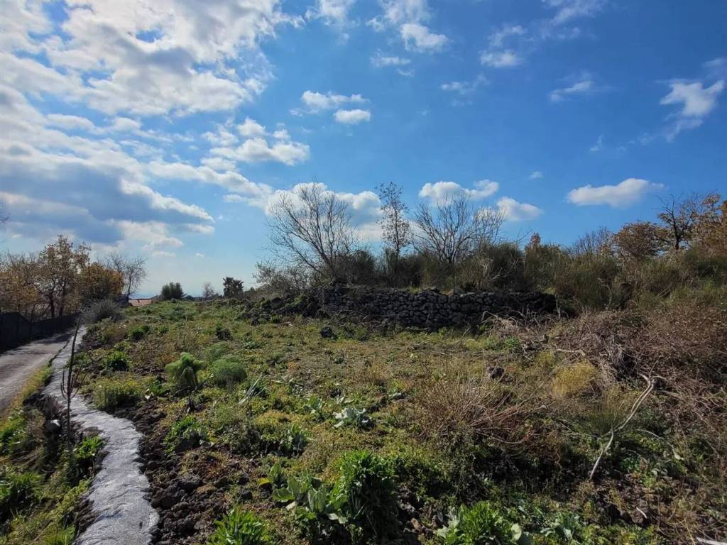Terreno a Belpasso - Foto 2