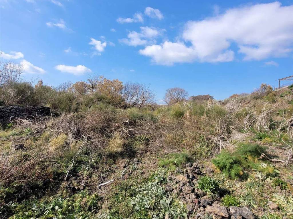 Terreno a Belpasso - Foto 3