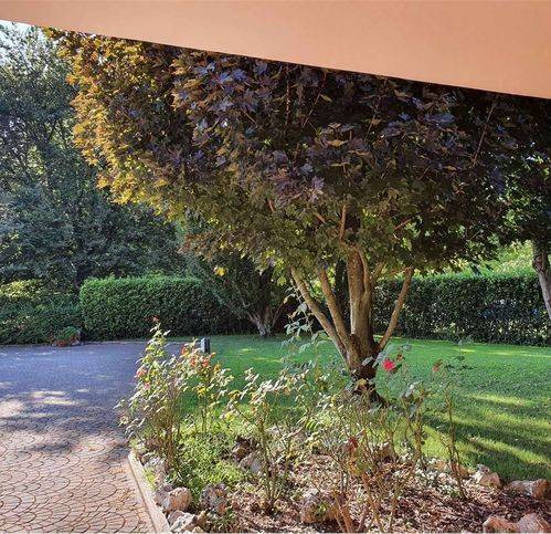Villa a Reggio emilia - Foto 5