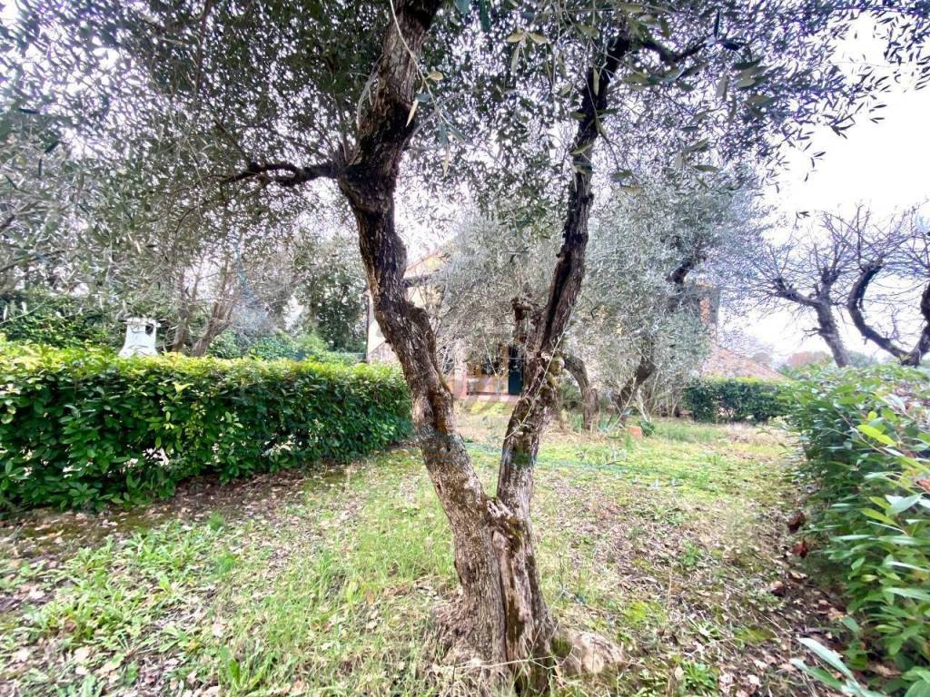 Appartamento a Santa luce in Via Poggiberna - Foto 4