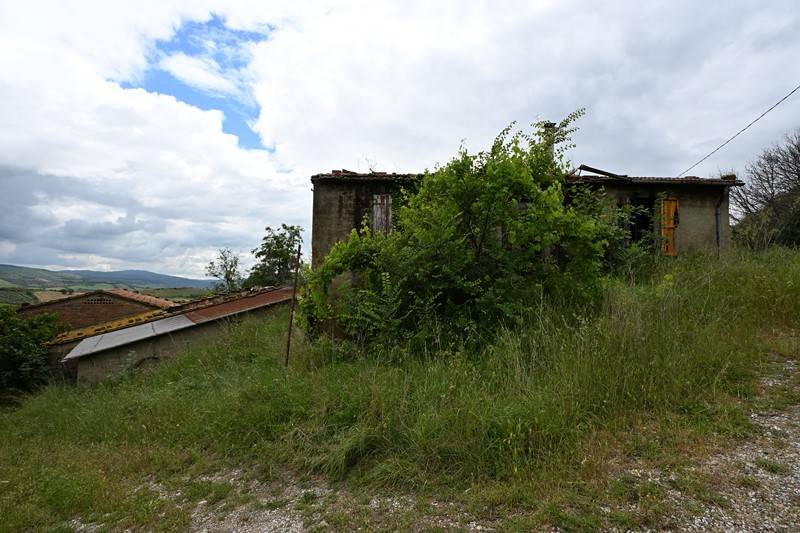 Rustico / casale a Cinigiano - Foto 2