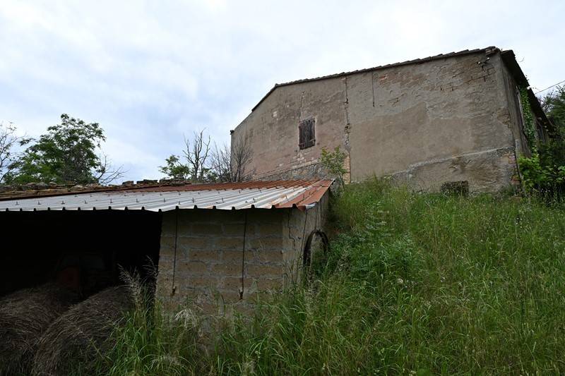 Rustico / casale a Cinigiano - Foto 3