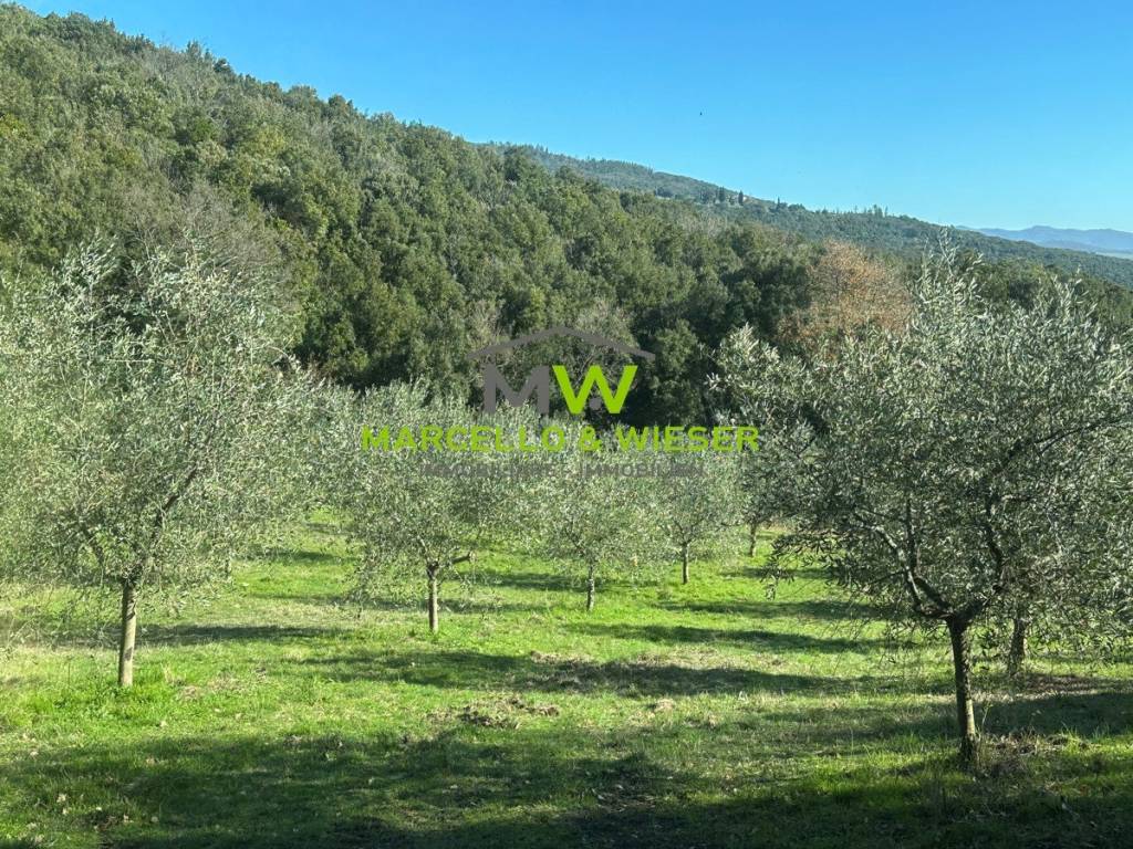 Rustico / casale a Massa marittima in Via della Repubblica, 47 - Foto 2