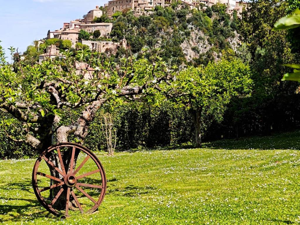 Rustico / casale a Calvi dell'umbria in Borgata Santa Maria Maddalena - Foto 4