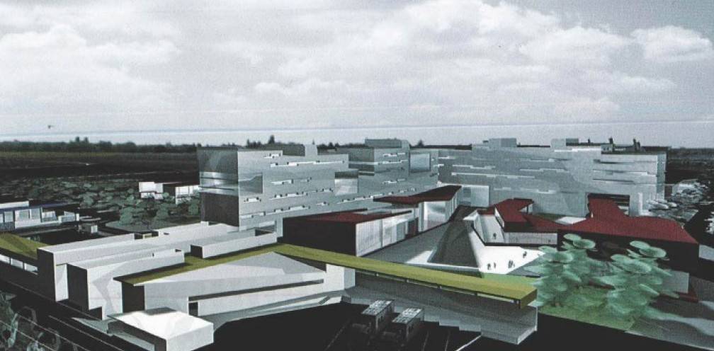 Terreno a Fiumicino in Via Geminiano Montanari - Foto 2