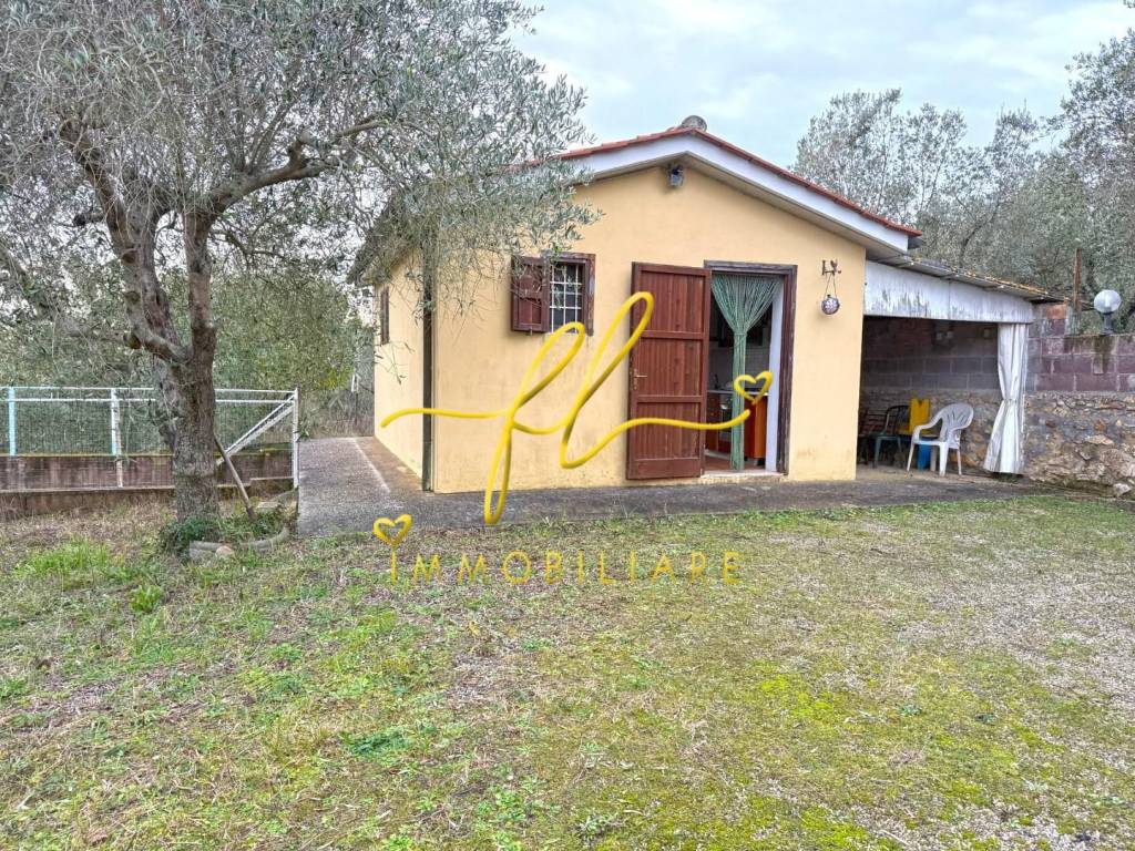 Terreno a Rosignano marittimo - Foto 3