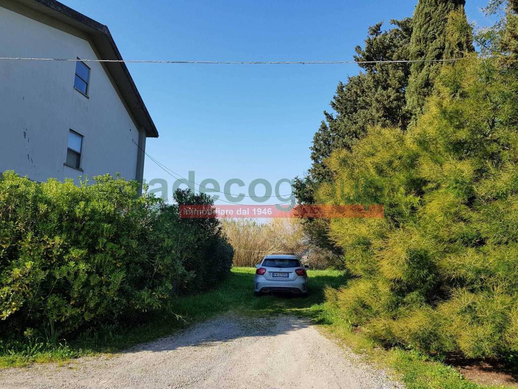 Villetta a schiera a Collesalvetti in Via del Pino - Foto 4