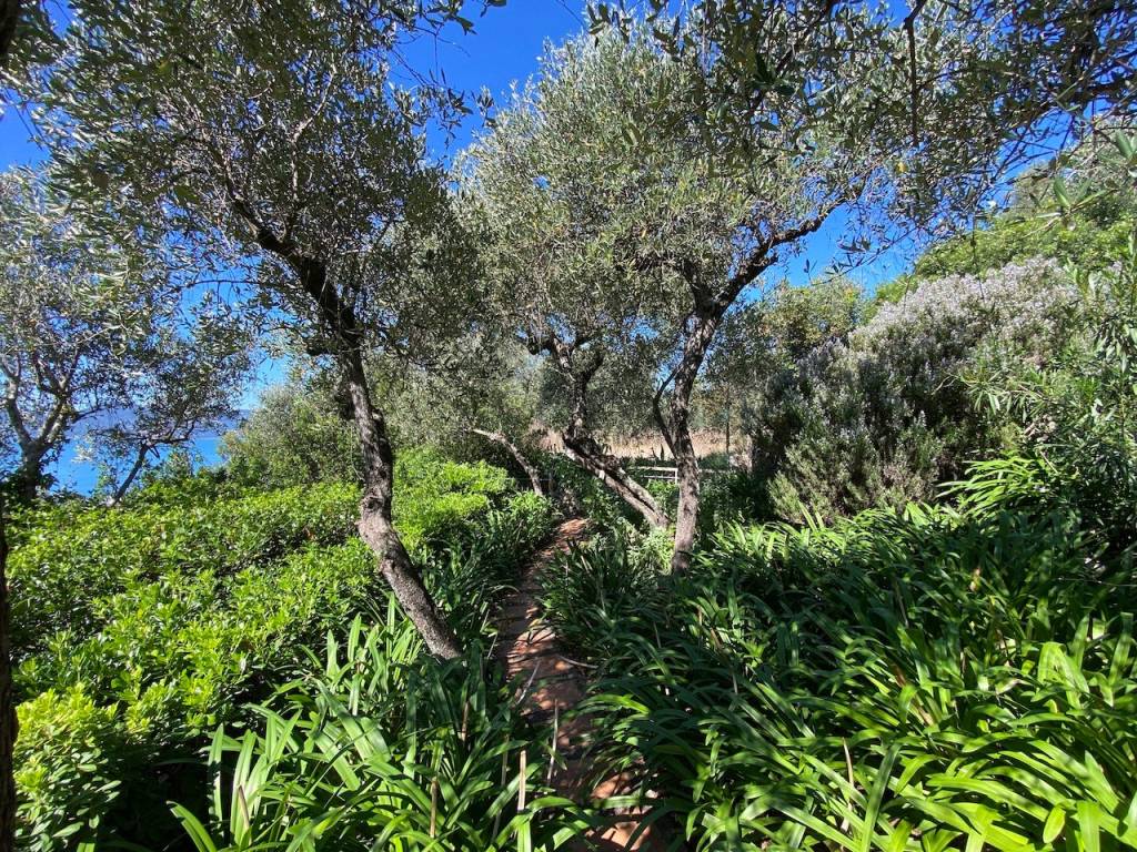 Attico / mansarda a Lerici in Via Giacomo Matteotti - Foto 4