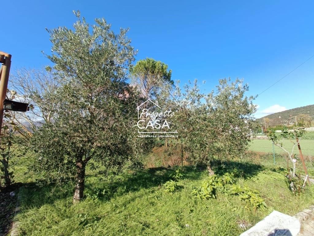 Villa a Monteroduni in Valle Pratese - Foto 5