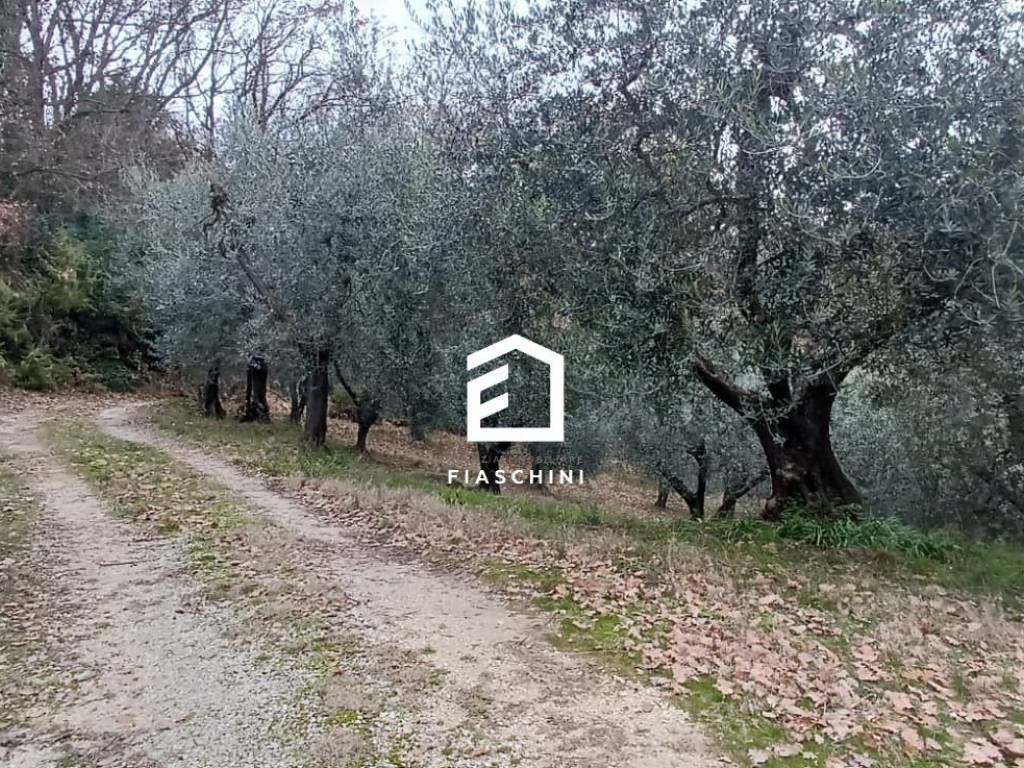 Immobile a Penna in teverina in Località Muralto - Foto 5