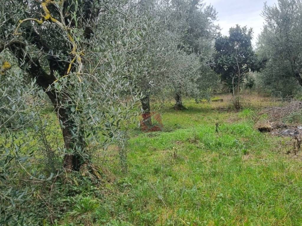 Terreno a Monte compatri in Via Mont'Est - Foto 4