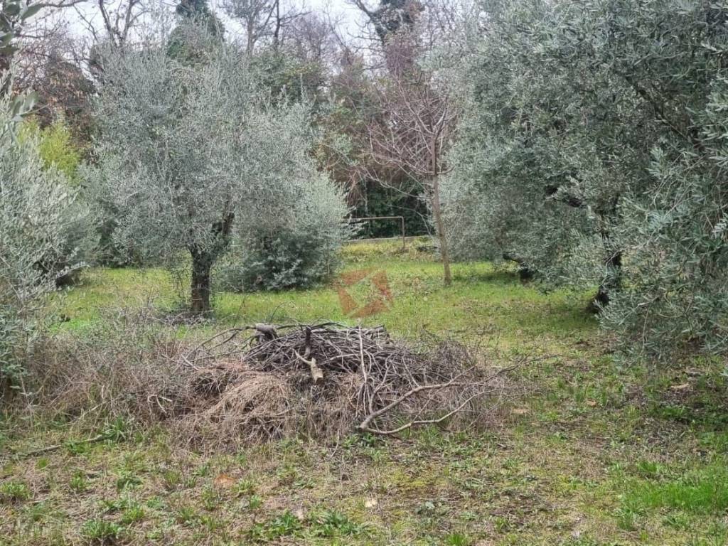 Terreno a Monte compatri in Via Mont'Est - Foto 5