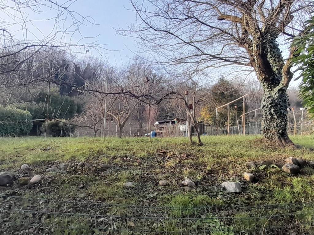 Terreno a Erba in Via Alserio - Foto 5