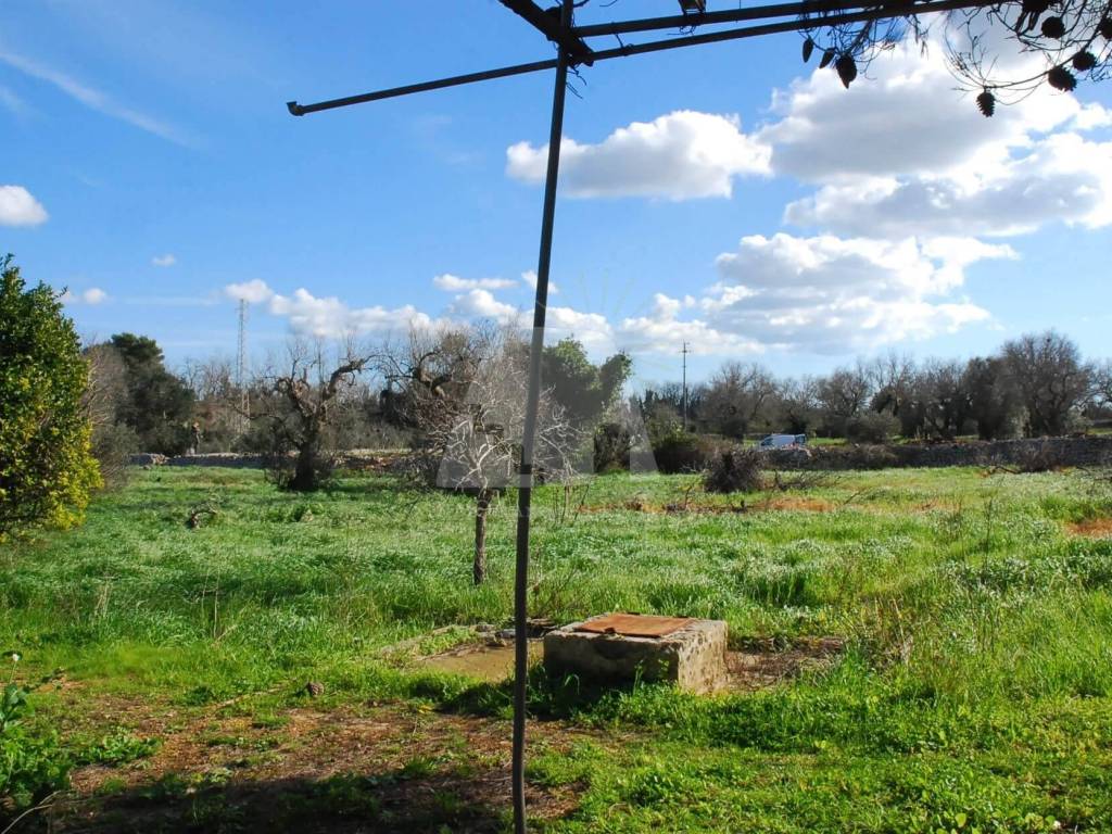 Terreno a Salve in Strada Vicinale Scovre - Foto 2