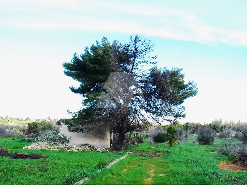 Terreno a Salve in Strada Vicinale Scovre - Foto 4