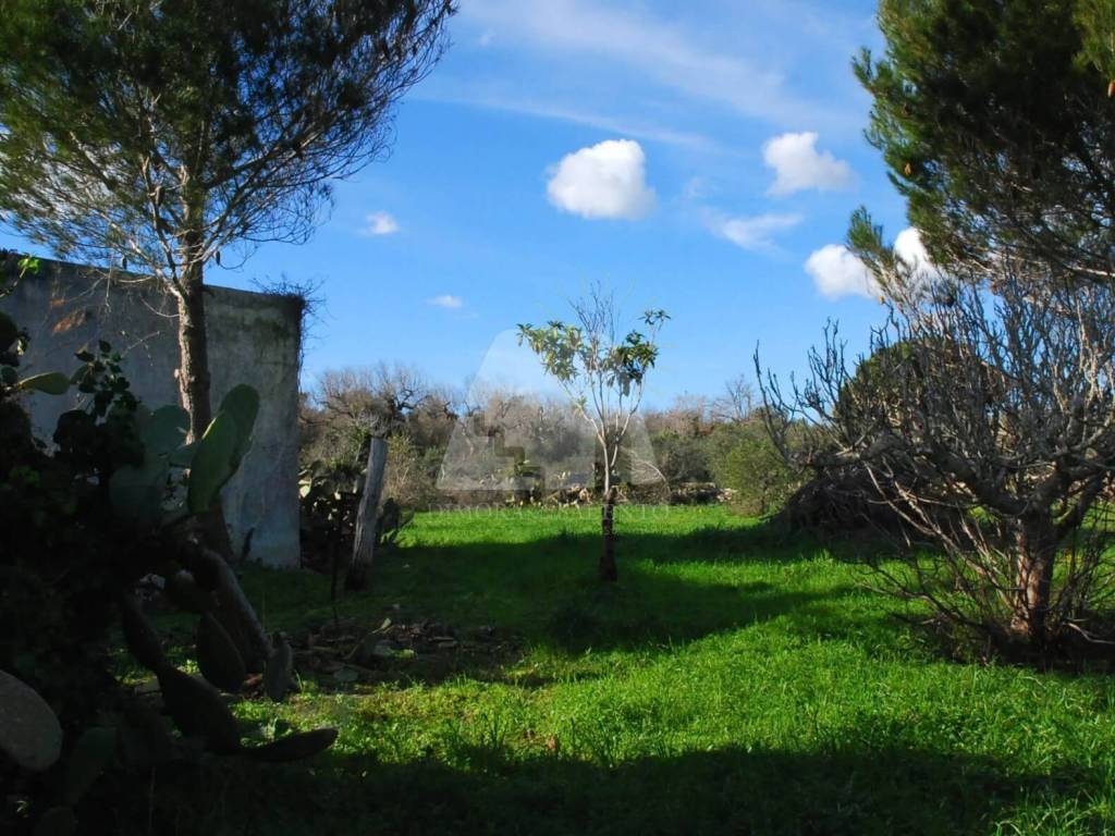 Terreno a Salve in Strada Vicinale Scovre - Foto 5