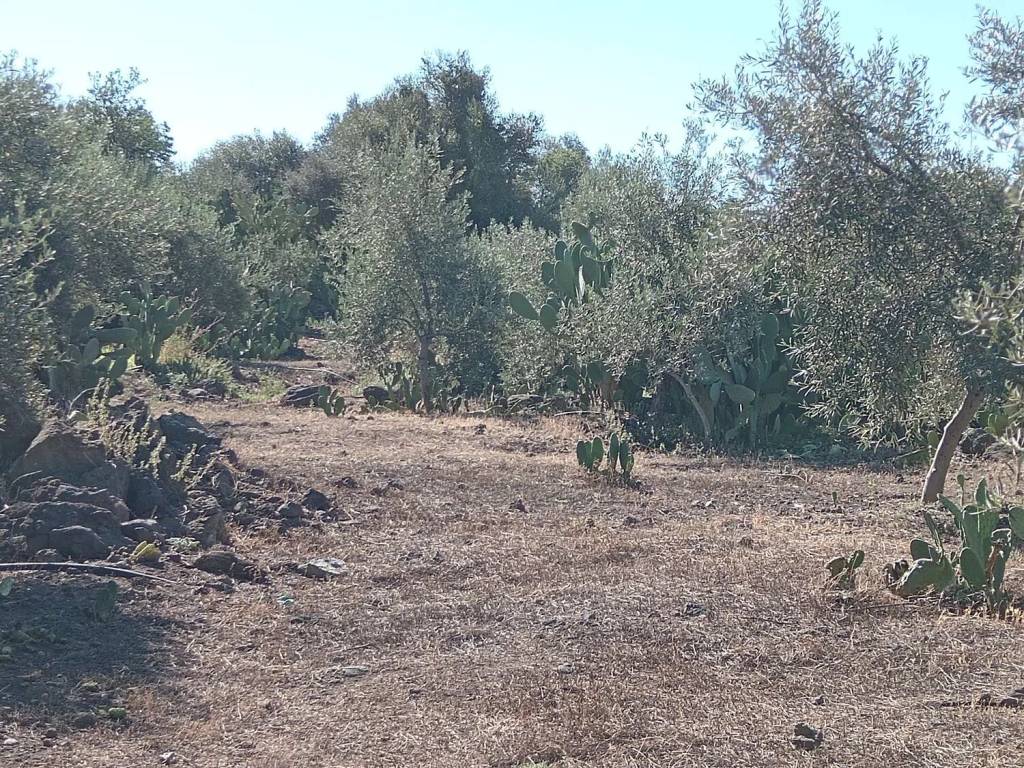 Terreno a Biancavilla in Via Scirfi No Number - Foto 2