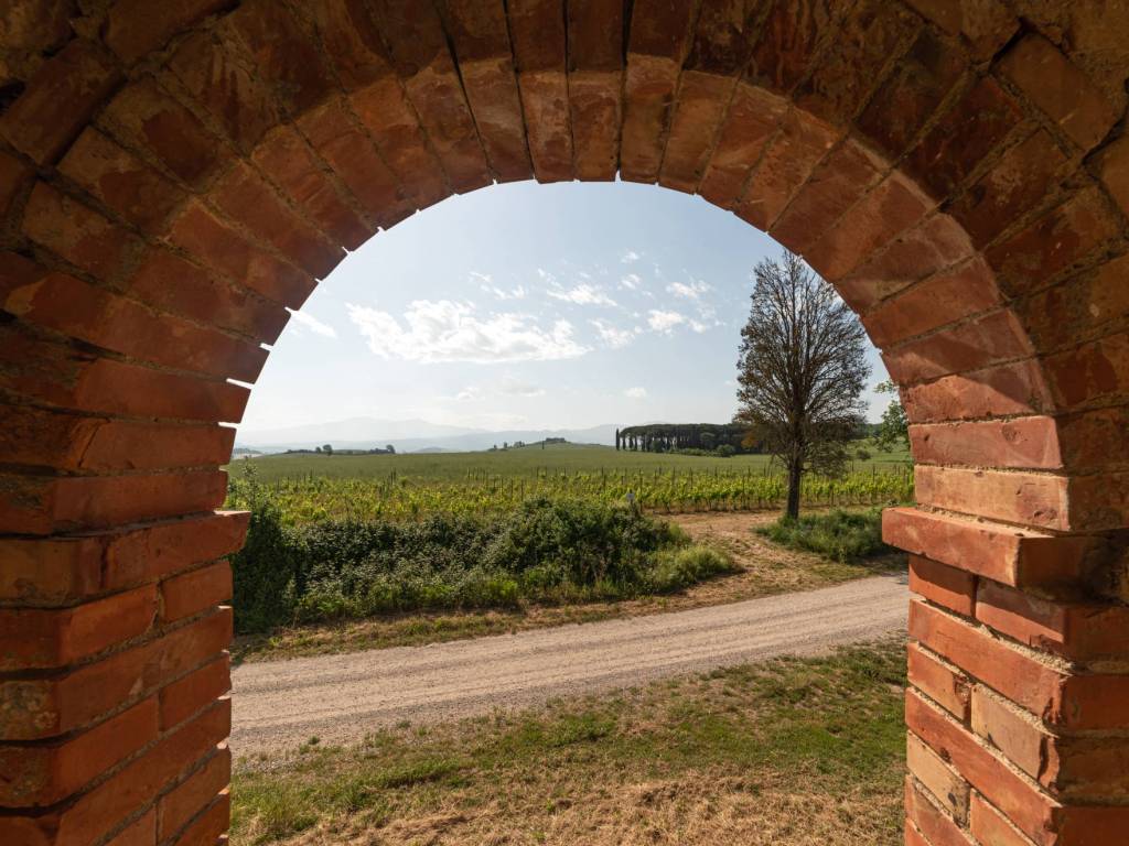 Rustico / casale a Cinigiano - Foto 3