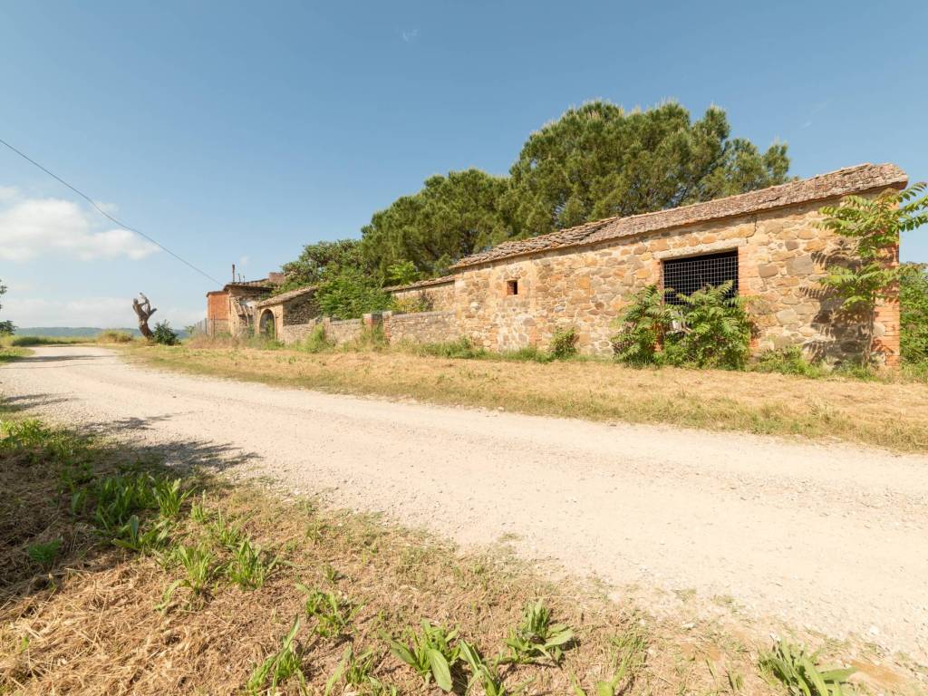 Rustico / casale a Cinigiano - Foto 4