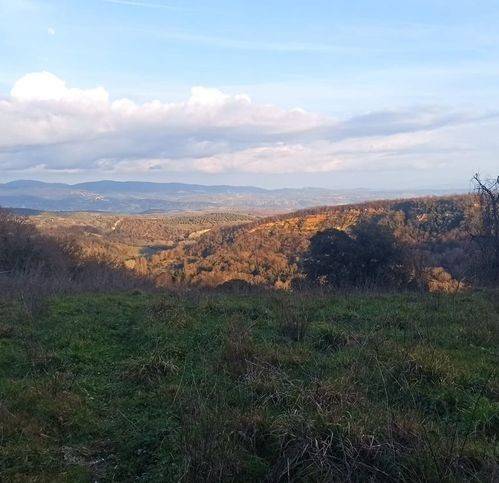Terreno a Celleno in Strada Canne - Foto 2
