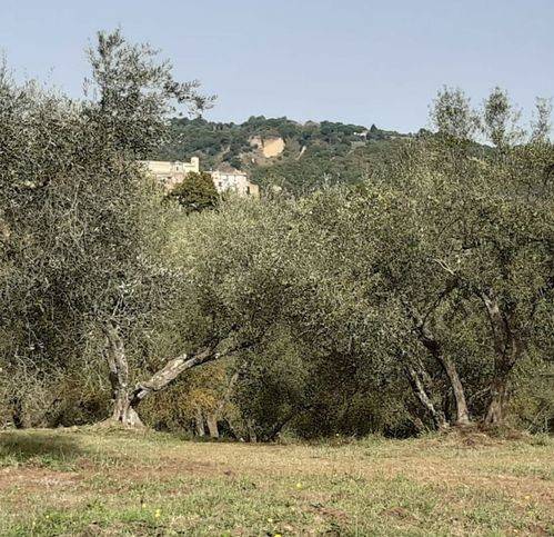 Terreno a Viterbo in Strada Di Magugnano 1 - Foto 2