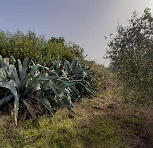 Terreno a Viterbo in Strada Di Magugnano 1 - Foto 4