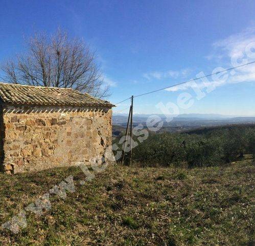 Villa a Celleno in Sp11 57 - Foto 5