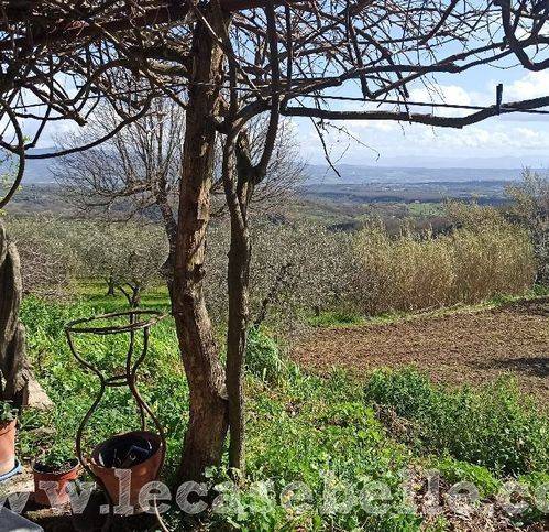 Rustico / casale a Celleno in Strada Provinciale 11 9 - Foto 2