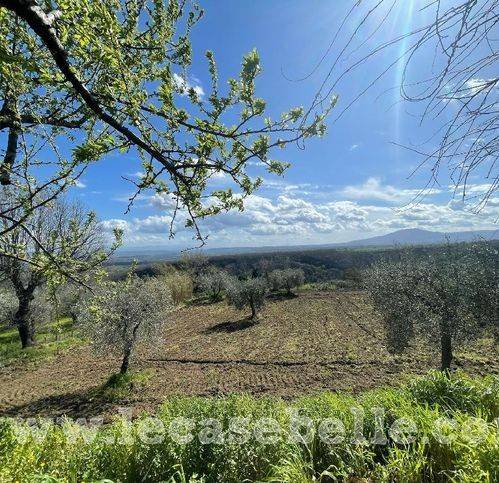 Rustico / casale a Celleno in Strada Provinciale 11 9 - Foto 3