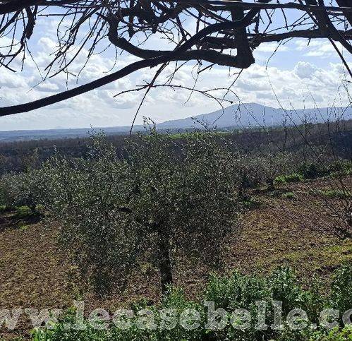 Rustico / casale a Celleno in Strada Provinciale 11 9 - Foto 4