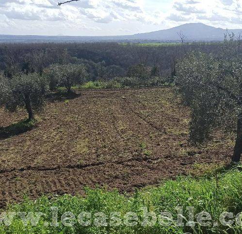 Rustico / casale a Celleno in Strada Provinciale 11 9 - Foto 5