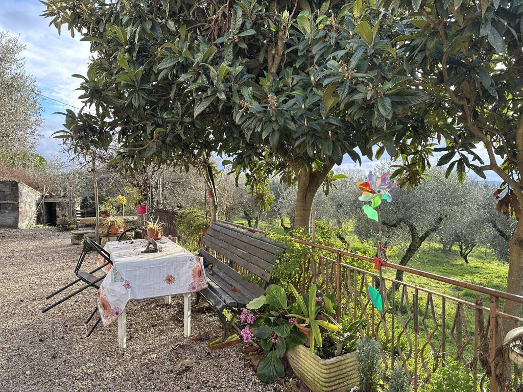 Rustico / casale a Celleno in Strada Acquaforte, 36 - Foto 3