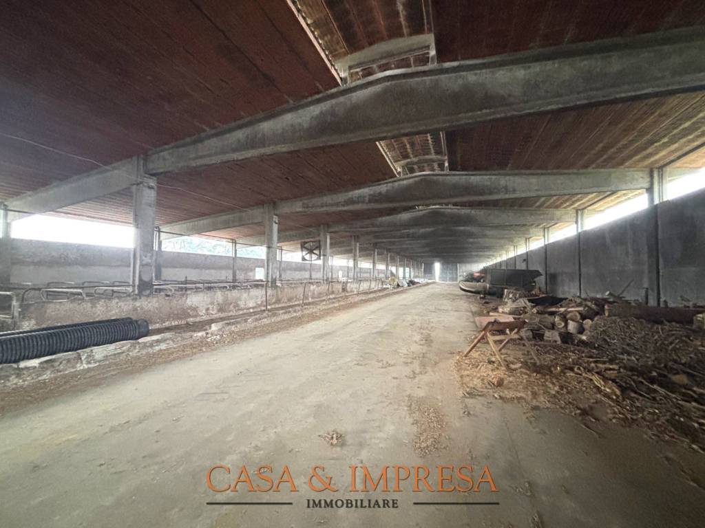 Immobile a Filighera in SP9 - Foto 3