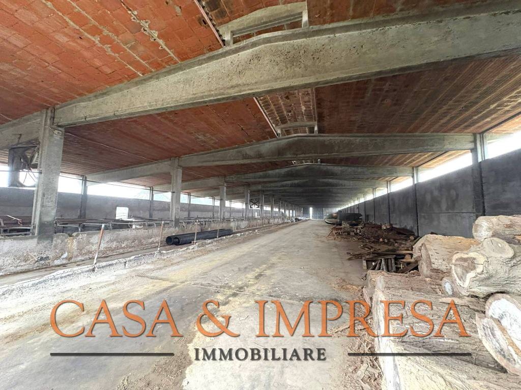 Immobile a Filighera in SP9 - Foto 4