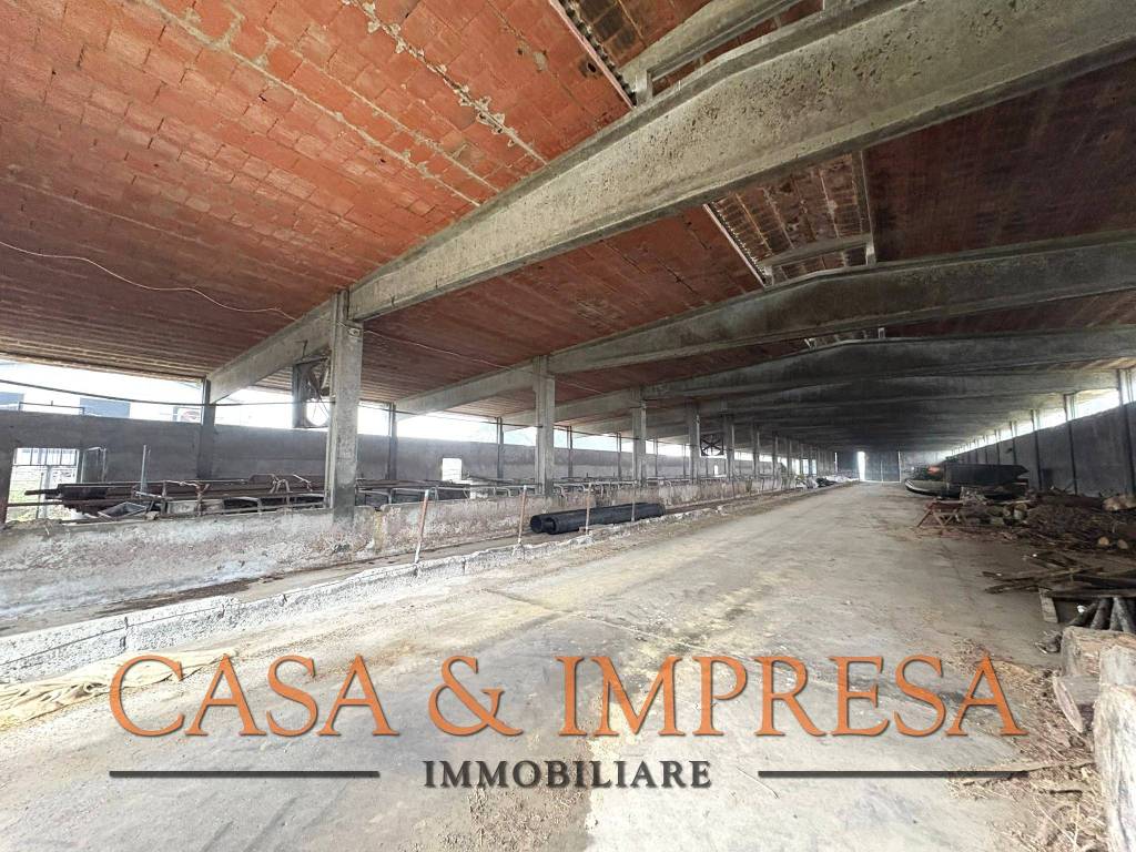 Immobile a Filighera in SP9 - Foto 5