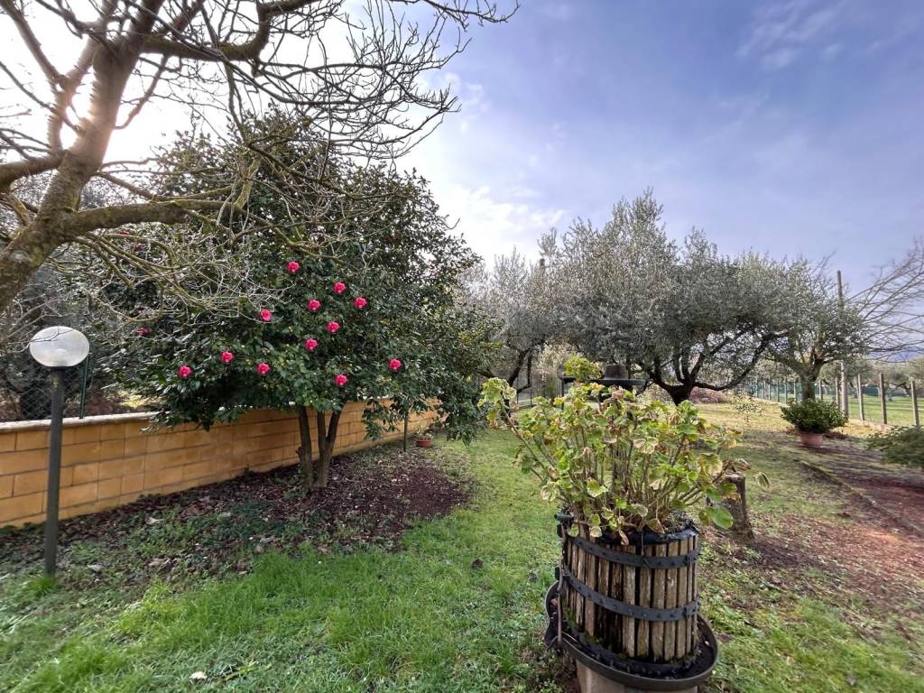Villa a San cesareo in Via Lodi, 61 - Foto 3